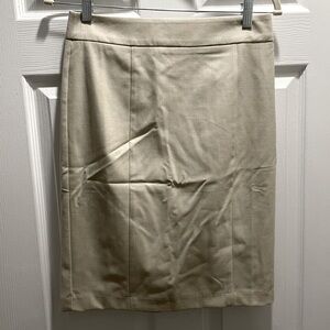 NWT Ann Taylor Pencil Skirt